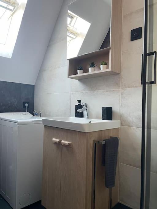 シャルトルDuplex Bord De L'Eure - Parking Inclus - Jolie Vue Sur La Cathedraleアパートメント エクステリア 写真
