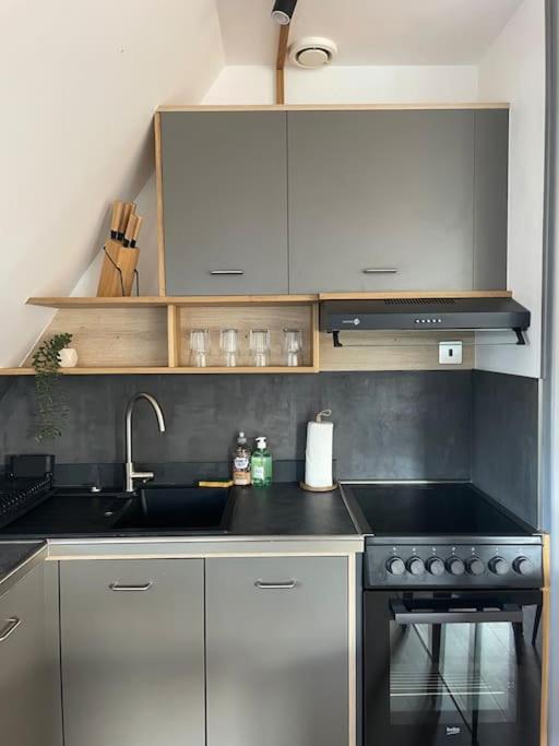 シャルトルDuplex Bord De L'Eure - Parking Inclus - Jolie Vue Sur La Cathedraleアパートメント エクステリア 写真