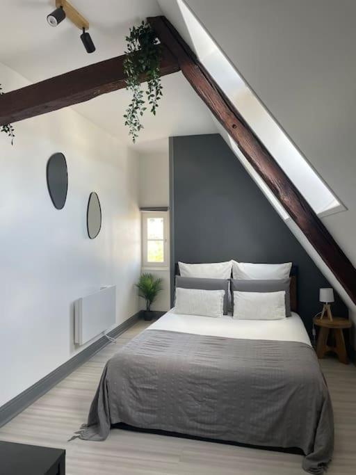 シャルトルDuplex Bord De L'Eure - Parking Inclus - Jolie Vue Sur La Cathedraleアパートメント エクステリア 写真