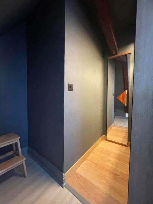 シャルトルDuplex Bord De L'Eure - Parking Inclus - Jolie Vue Sur La Cathedraleアパートメント エクステリア 写真