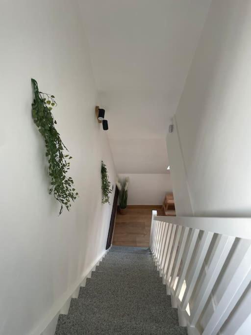シャルトルDuplex Bord De L'Eure - Parking Inclus - Jolie Vue Sur La Cathedraleアパートメント エクステリア 写真