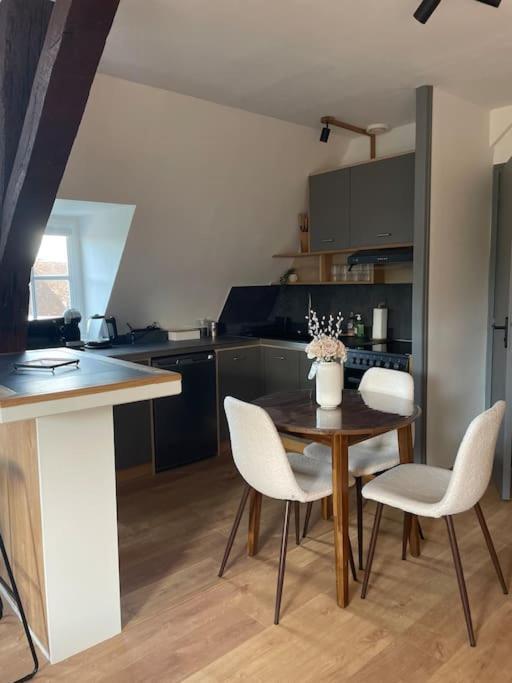 シャルトルDuplex Bord De L'Eure - Parking Inclus - Jolie Vue Sur La Cathedraleアパートメント エクステリア 写真